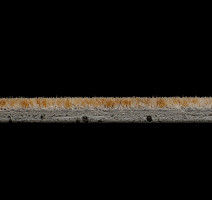 Flotex Colour s 290006 Calgary Sahara фото 3 | FLOORDEALER