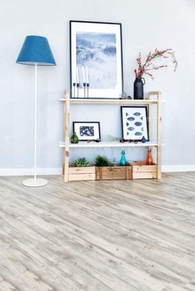 Alpine Floor Classic Акация CLICK ЕСО 107-8 фото 5 | FLOORDEALER