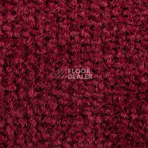 Balsan Les Best S 585 фото 2 | FLOORDEALER