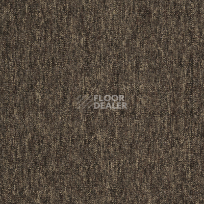 Ковровая плитка Carus Pro Projects 780 Brown фото 1 | FLOORDEALER