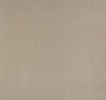 Ковролин Big Nobless 157 фото 1 | FLOORDEALER