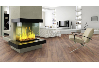 Kronotex Mammut Plus d4726 Дуб Горный Коричневый фото 8 | FLOORDEALER