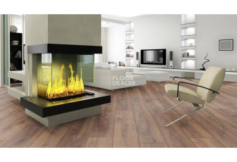 Kronotex Mammut Plus d4726 Дуб Горный Коричневый фото 8 | FLOORDEALER