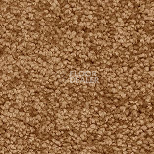 Ковролин AW Gaia Solstice 80 фото 1 | FLOORDEALER