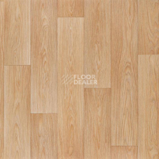 Линолеум Tarkett Discovery ALABAMA_1 фото 1 | FLOORDEALER