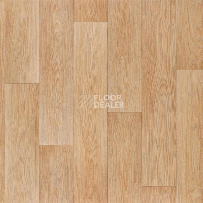 Линолеум Tarkett Discovery ALABAMA_1 фото 1 | FLOORDEALER