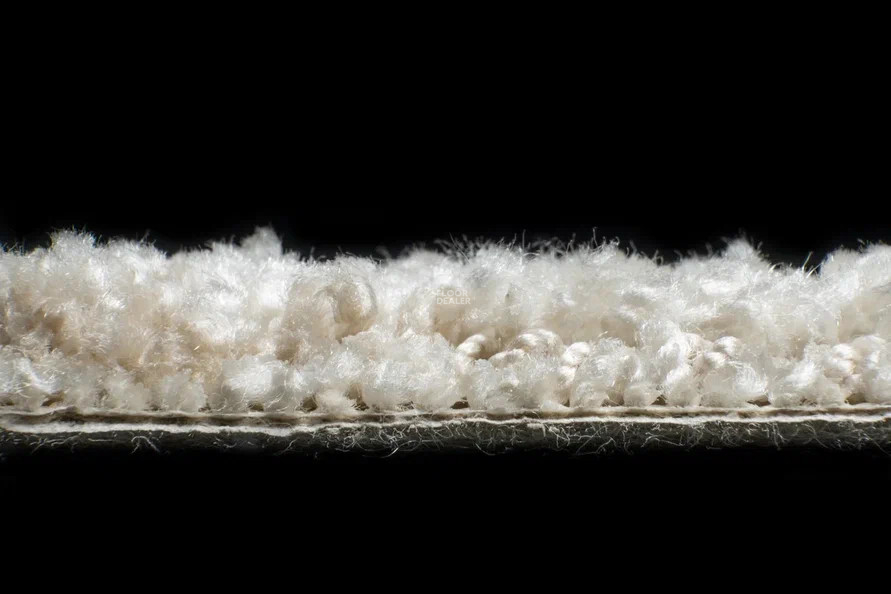 AW Masquerade Molto 34 фото 5 | FLOORDEALER