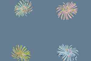 Ковролин Halbmond Step by Step 1 Modern 27527 фото  | FLOORDEALER