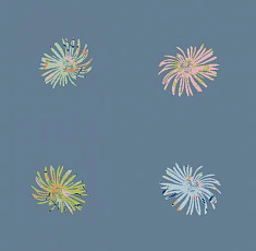 Ковролин Halbmond Step by Step 1 Modern 27527 фото 1 | FLOORDEALER