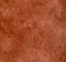 Линолеум Grabo Standart Color 4558-454 фото 1 | FLOORDEALER