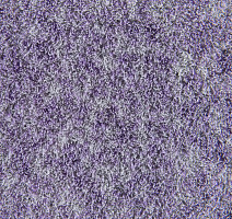 Flotex Colour Penang 50*50 t 382027 Penang Orchid фото 3 | FLOORDEALER