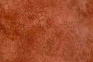 Линолеум Grabo Standart Color 4558-454 фото  | FLOORDEALER