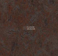 Линолеум Forbo Marmoleum Decibel 324835 фото 1 | FLOORDEALER