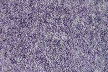 Forbo Flotex Colour Penang 50*50 t 382027 Penang Orchid фото 3 | FLOORDEALER