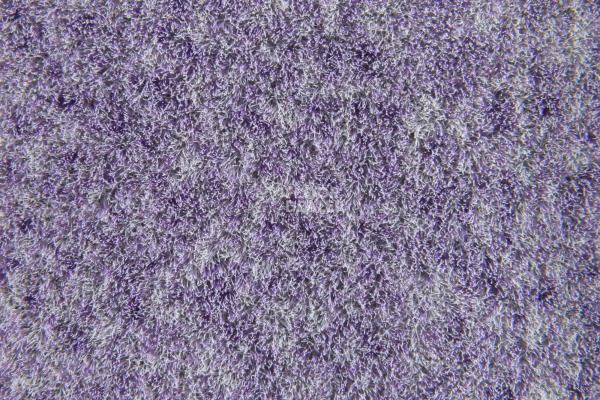 Flotex Colour Penang 50*50 t 382027 Penang Orchid фото 3 | FLOORDEALER