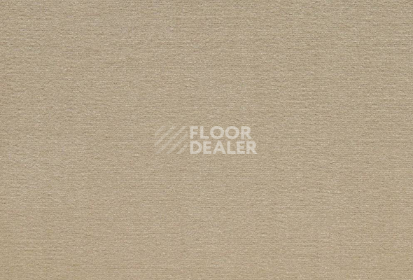 Ковролин ITC Roxane 34 фото 1 | FLOORDEALER