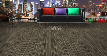 Standard Carpets Road Trip 647 фото 2 | FLOORDEALER