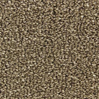 Ковролин Edel Bellezza 152 фото 1 | FLOORDEALER