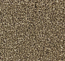 Ковролин Edel Bellezza 152 фото 1 | FLOORDEALER