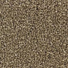 Ковролин Edel Bellezza 152 фото 1 | FLOORDEALER