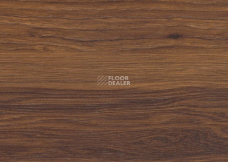 Terhurne Grand Line 1869  Каштан Бархатно - Коричневый  1101020839 фото 2 | FLOORDEALER