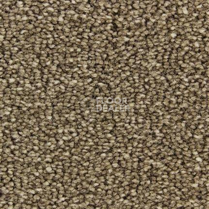 Ковролин Edel Bellezza 152 фото 1 | FLOORDEALER