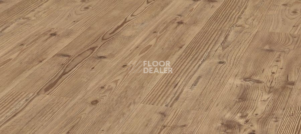 Ламинат Kronotex Exquisit 8мм d2774 Сосна Натуральная фото 1 | FLOORDEALER