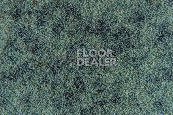 Ковролин Flotex Colour s290009 Calgary moss фото 1 | FLOORDEALER