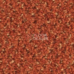 Ковролин Balsan Tango Tango 470 фото 1 | FLOORDEALER