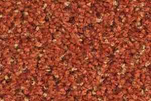 Ковролин Balsan Tango Tango 470 фото  | FLOORDEALER