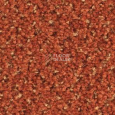 Ковролин Balsan Tango Tango 470 фото 1 | FLOORDEALER