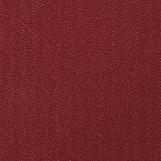 Big Endurance 455 фото 1 | FLOORDEALER