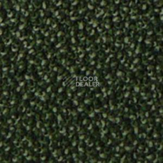 Ковролин Infloor Campino 450 фото 1 | FLOORDEALER