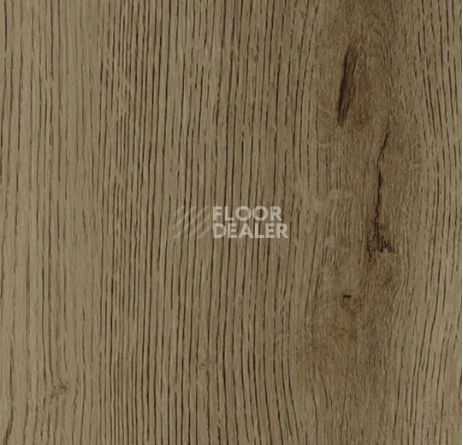 Кварцвиниловые полы Forbo allura decibel 0.8 wood 5424AD8 taupe antique oak (100x16.6 cm) фото 1 | FLOORDEALER
