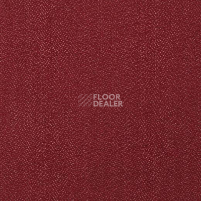 Ковролин Big Endurance 455 фото 1 | FLOORDEALER