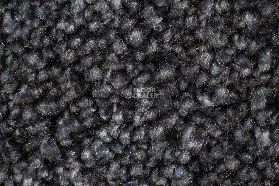 AW Masquerade Costanza 99 фото 3 | FLOORDEALER