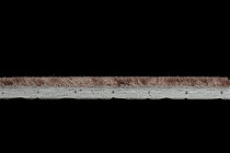 Flotex Colour Metro 5050 t 546029 Metro Truffle фото 3 | FLOORDEALER