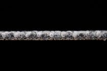 Betap Plato_new Plato 710 фото 4 | FLOORDEALER