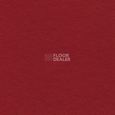 Ковролин Finett Feinwerk 503510 фото 1 | FLOORDEALER