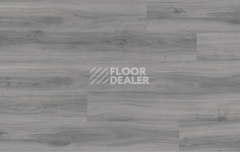 Moduleo Next Acoustic дерево TRADITION OAK 940 BO фото 4 | FLOORDEALER