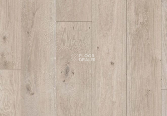 Parador Basic Plus 400 V 1593798 Дуб Натурально-серый фото 2 | FLOORDEALER