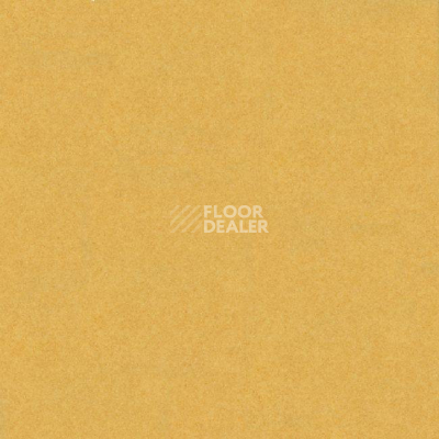 Линолеум Grabo Acoustic 5 383_664 фото 1 | FLOORDEALER