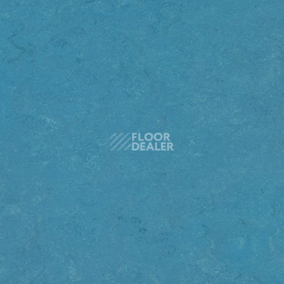 Линолеум Marmorette DLW  2mm 0122 Fluffy Blue фото 1 | FLOORDEALER