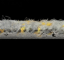 ColorKey ColorKey b 03 фото 3 | FLOORDEALER