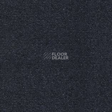 Ковролин AW Sirene 78 фото 1 | FLOORDEALER