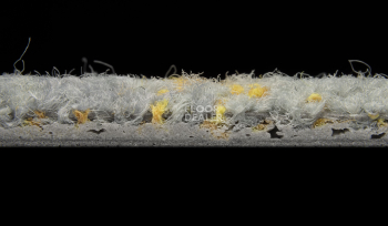 ColorKey ColorKey b 03 фото 3 | FLOORDEALER