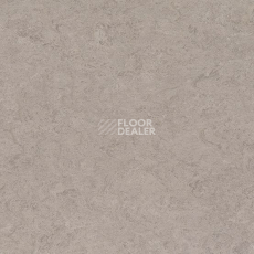 Линолеум Marmorette DLW 2.5mm 0091 Shiitake Mushroom фото 1 | FLOORDEALER