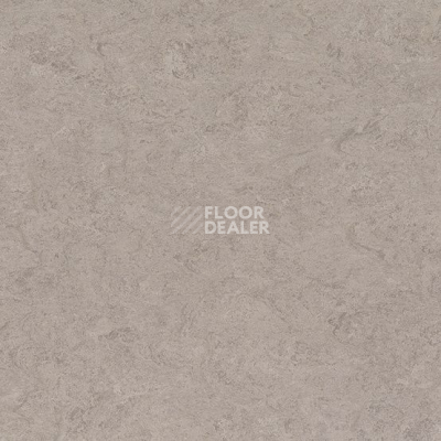 Линолеум Marmorette DLW 2.5mm 0091 Shiitake Mushroom фото 1 | FLOORDEALER