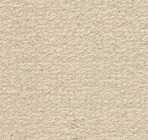 Ковролин Balsan Altitude Altitude 705 фото 1 | FLOORDEALER