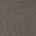 Ковролин AW Tresor 34  | FLOORDEALER